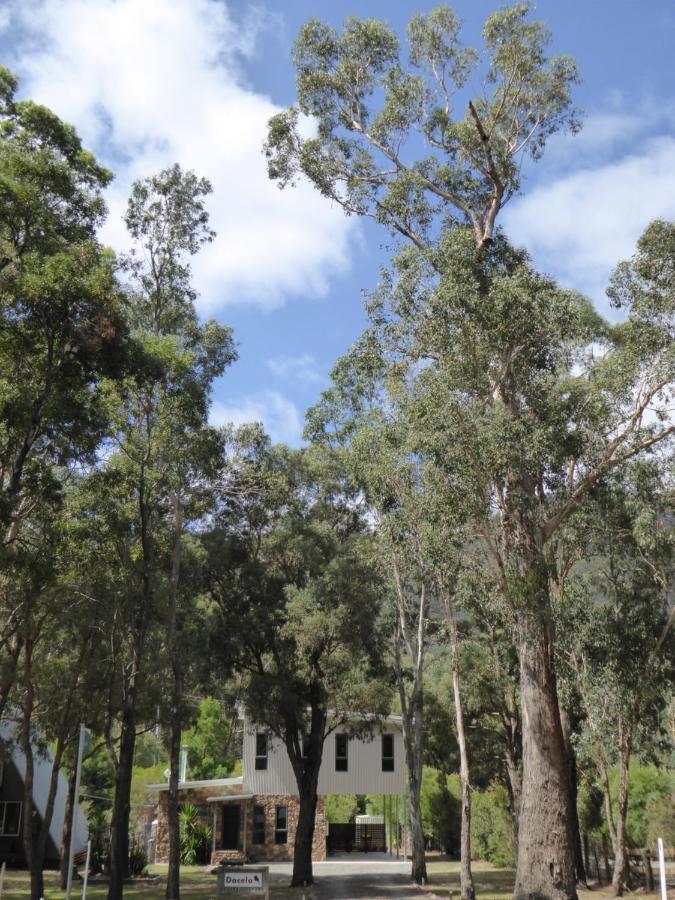 Dacelo Villa Halls Gap Kültér fotó