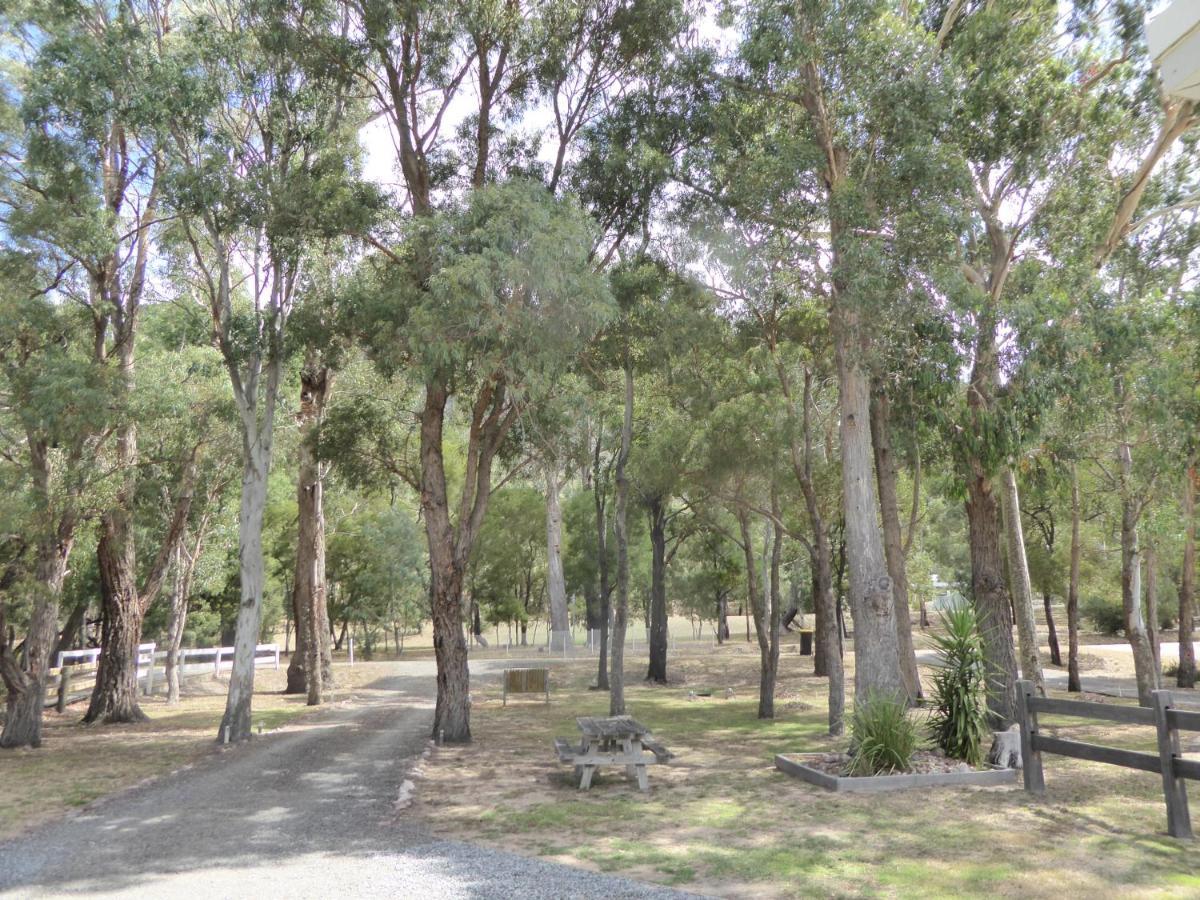 Dacelo Villa Halls Gap Kültér fotó